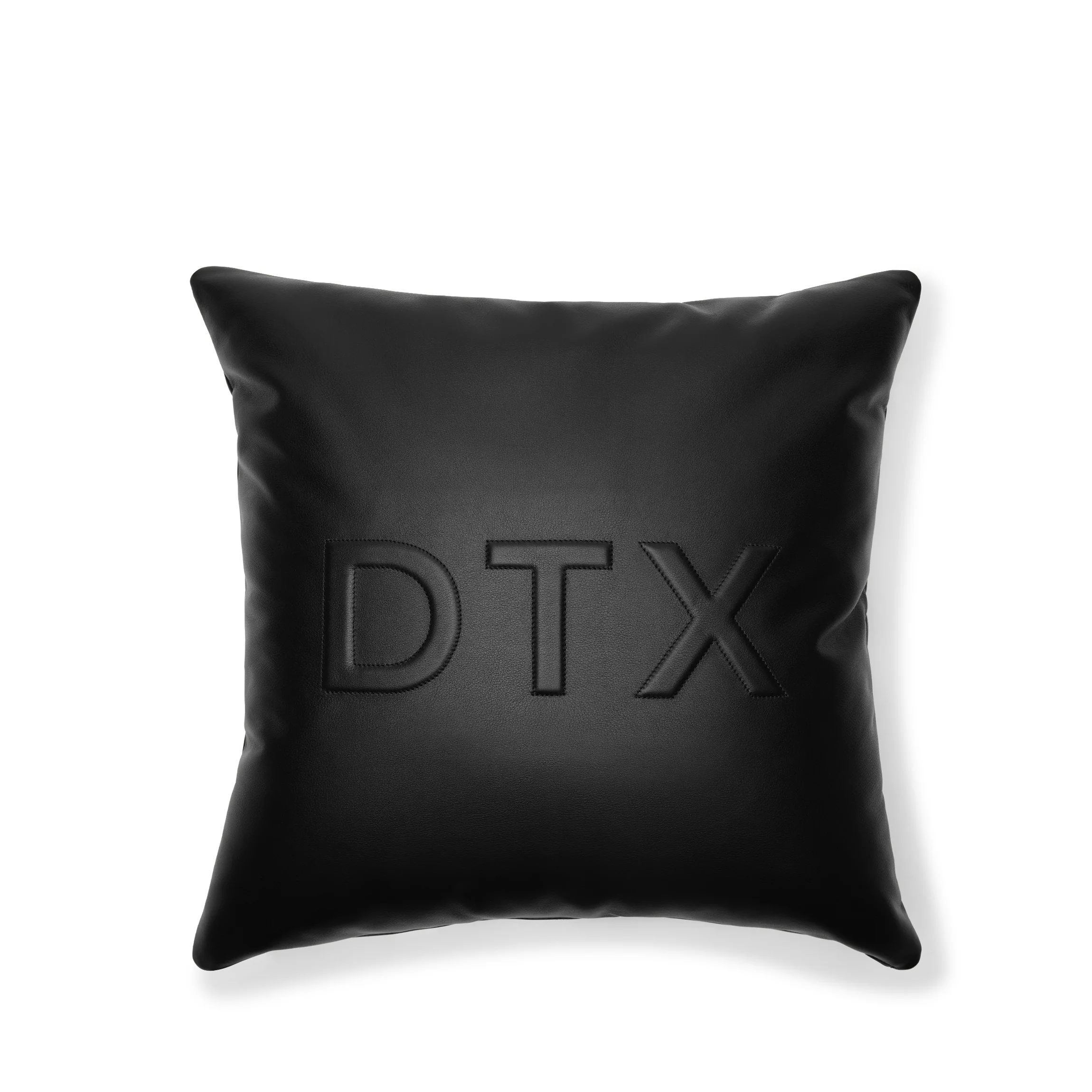 20x20 Square Pillow Black Onyx