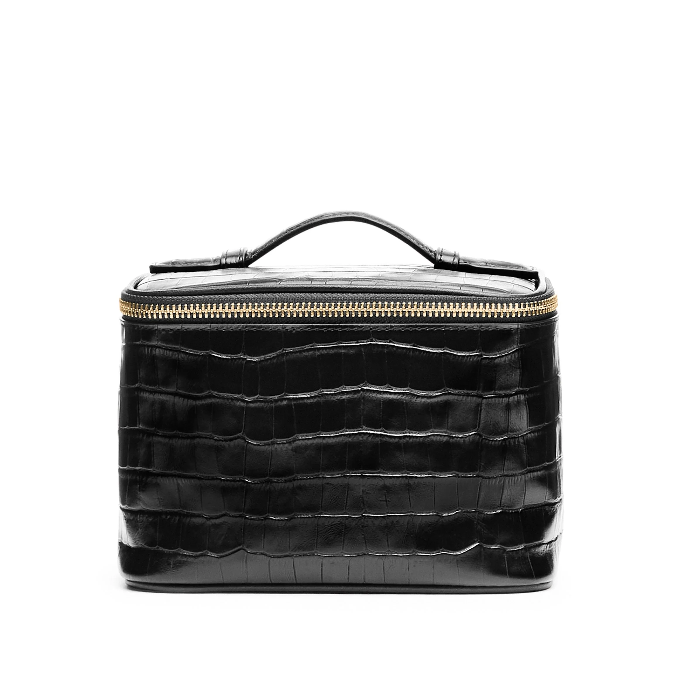 Small Train Case Black Croc